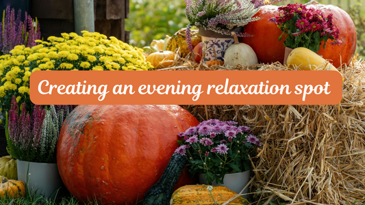 Create Your Perfect Evening Relaxation Spot | Small Space Nighttime Rituals
